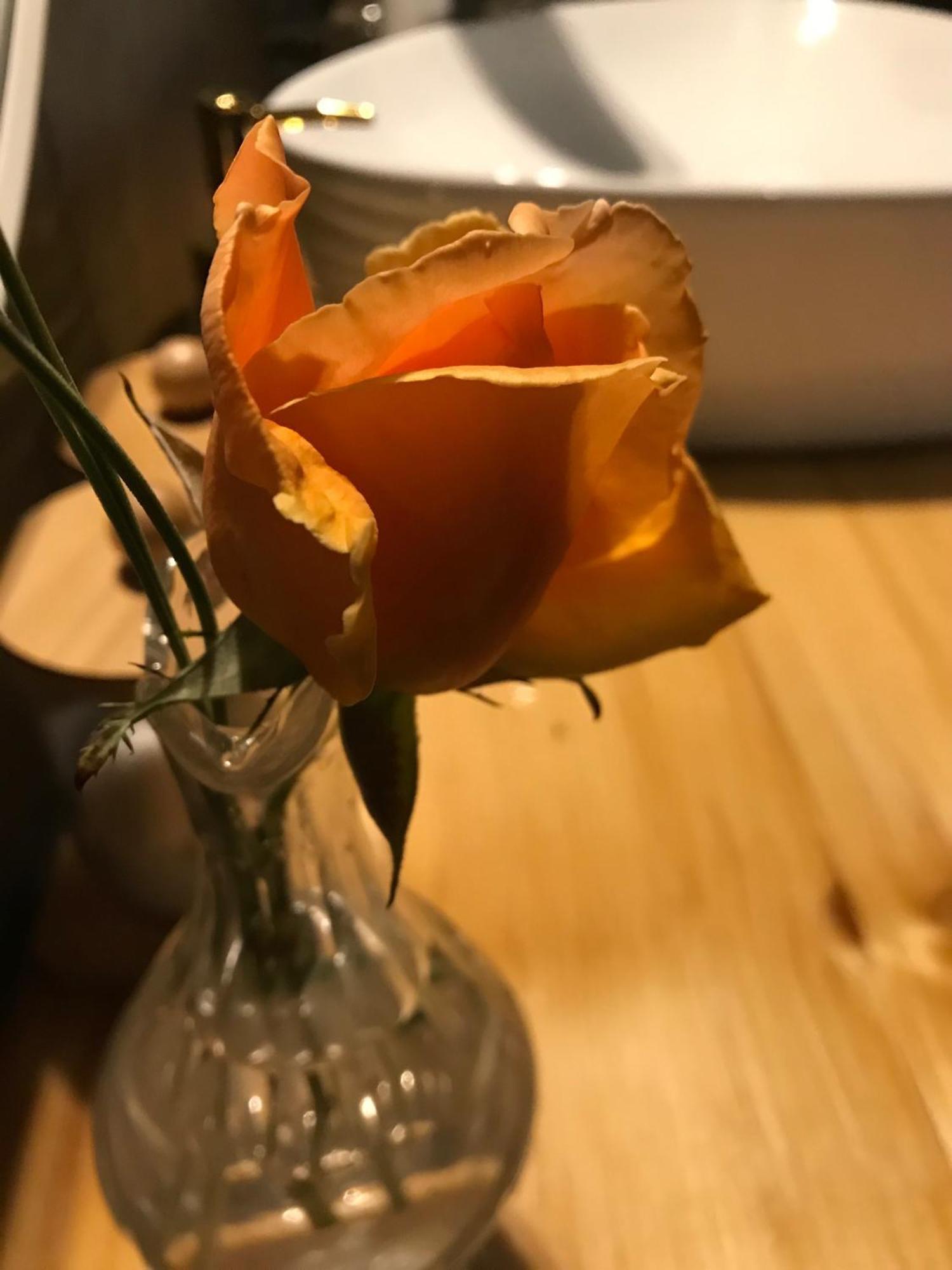 La Cubanita Panzió Kojsko Kültér fotó